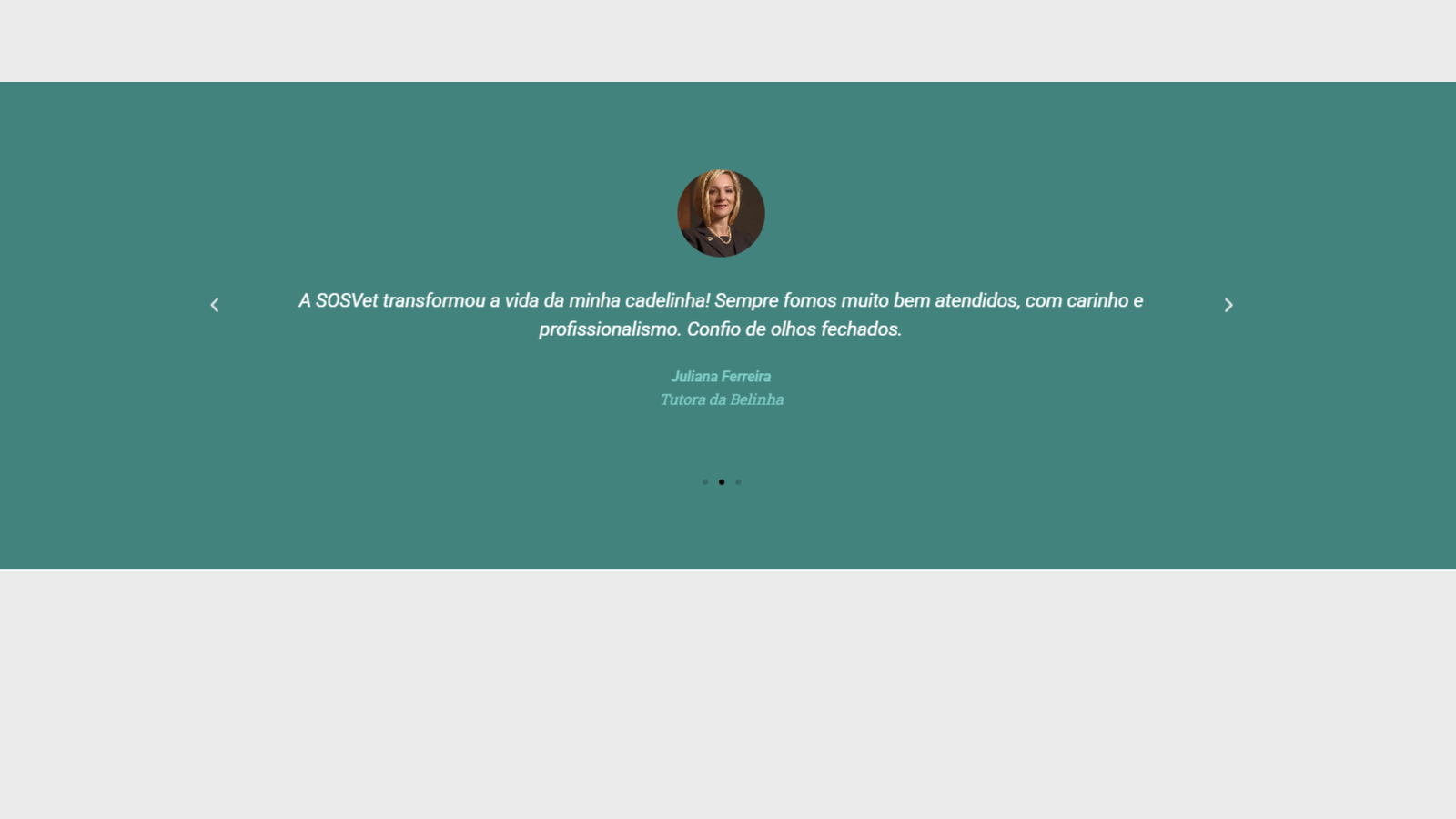 Depoimento de cliente da clínica veterinária